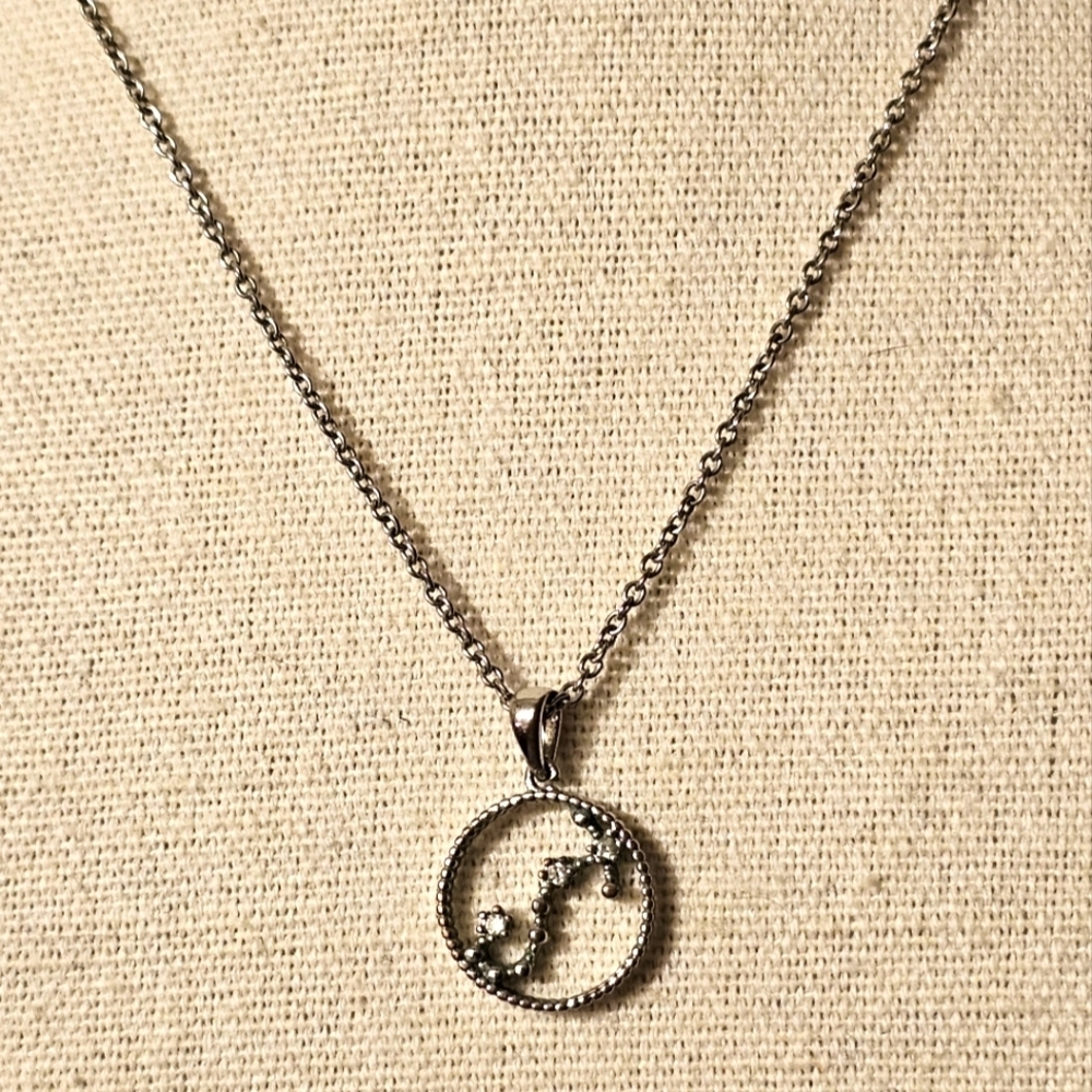 Silver Scorpio Rhinestone Pendant Necklace N1P64